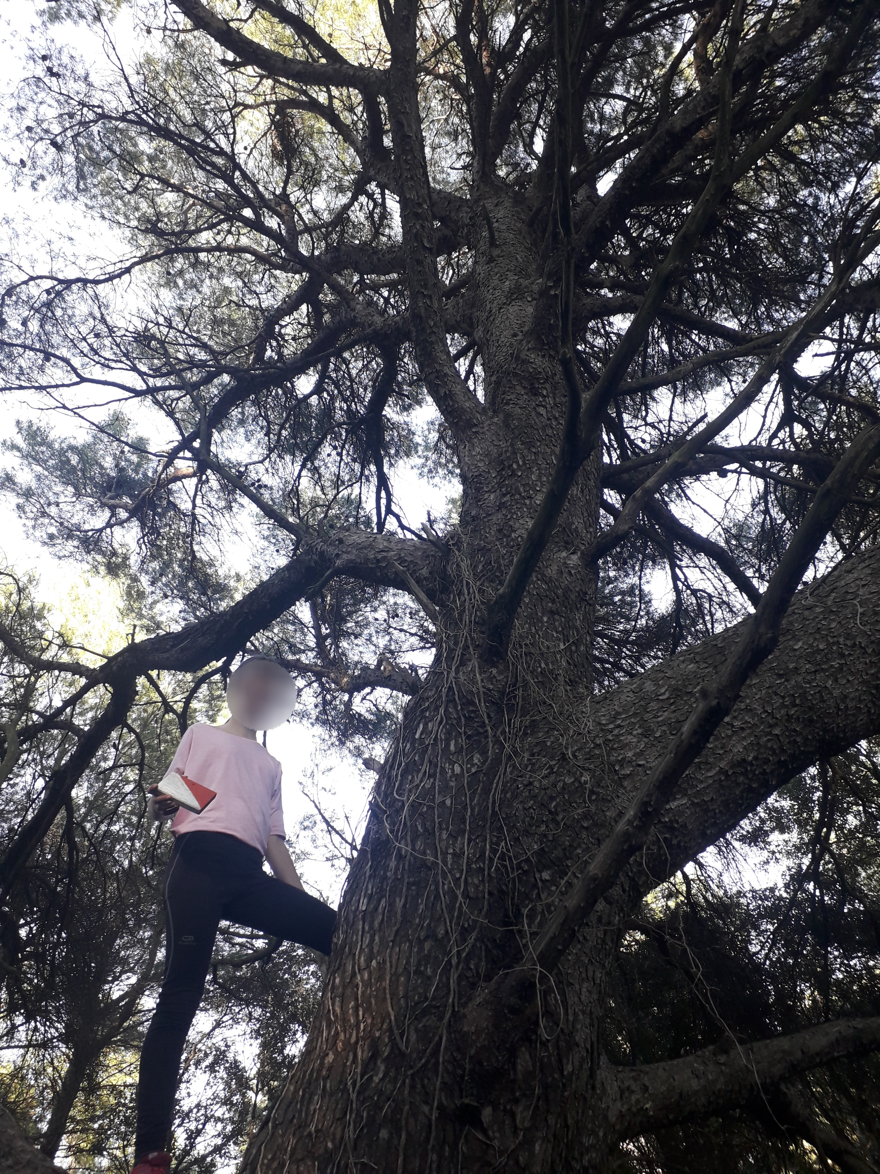 sortie orientation manon deloche 2 balise 5